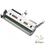 Печатающая термоголовка Intermec PC43 (203 dpi), термо печать 