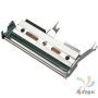 Печатающая термоголовка Intermec PM4i (203 dpi), термотрансферная печать 