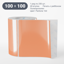 Этикетка цветная 100х100/Полипропилен съемный клей/рядов 1 по 250/40 мм (к)/ Pantone 163 C  
