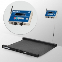 Весы Масса-к 4D-LM-10/10-1000-AB(RUEW) Ethernet USB RS-232 WiFi промышленные до 1 000 кг, конструкционная сталь