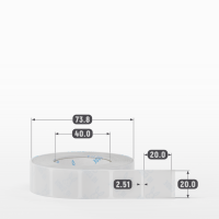 Этикетка самоклеящаяся 20х20 (рядов 1 по 1 000 шт) Прозрачный полипропилен в рулоне, втулка 40 мм (к) IQ code