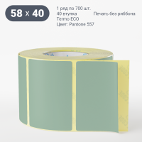 Этикетка 58х40/Termo ECO/700/40 мм (к)/1/ Pantone 557 