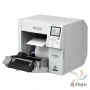 Принтер этикеток Epson C4000e (bk) струйный 1200x1200, LCD, отрезчик, C31CK03102BK