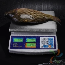 Весы Mertech M-ER 329 AC-15.2 LCD Белый с вторым дисплеем настольные торговые до 15 кг, нержавеющая сталь